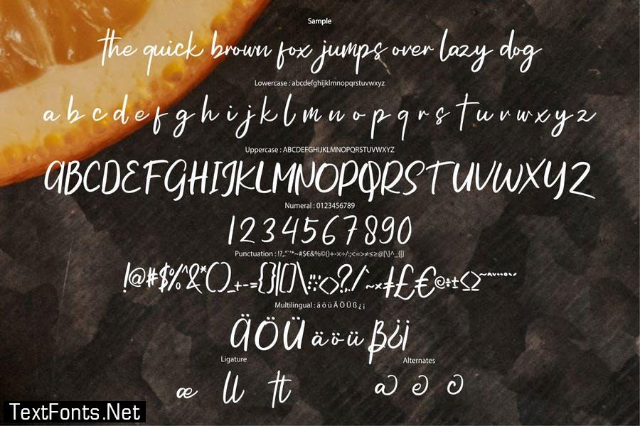 Ketices | Modern Low Script Font