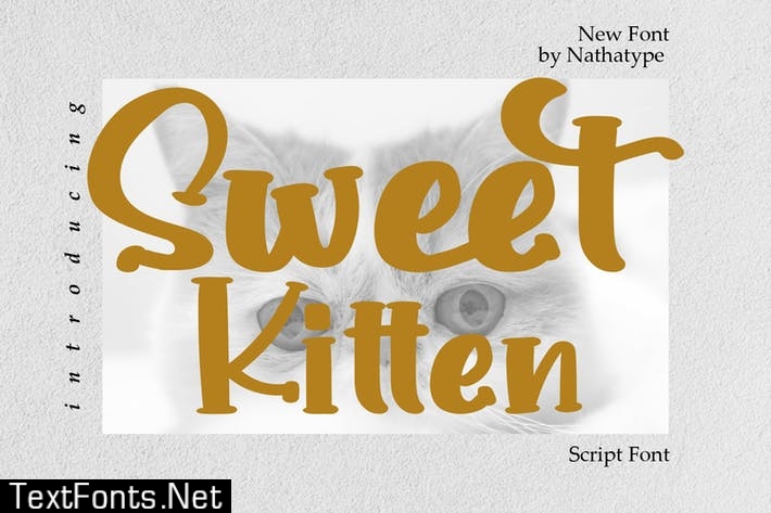 Sweet Kitten Font