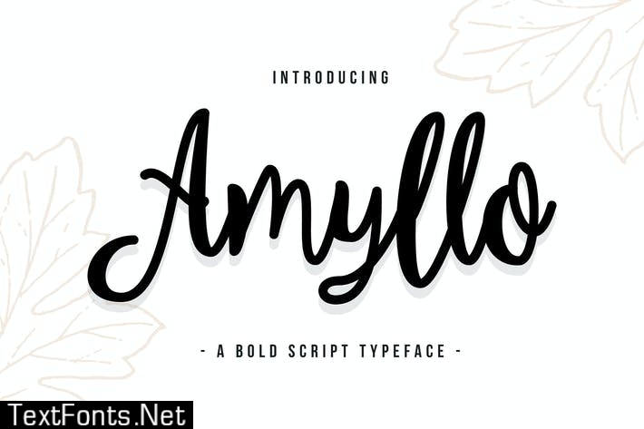 Amyllo - A Bold Script Typeface