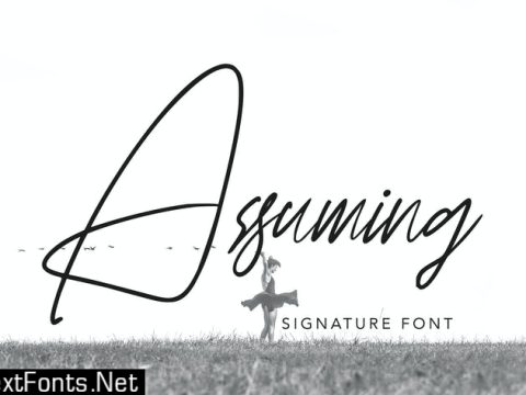 Assuming - Handwritten Font