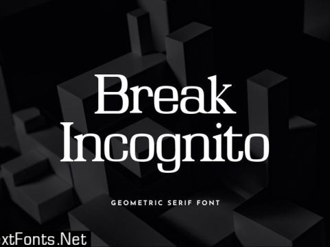 Break Incognito Serif Font