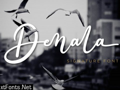 Denala - Signature Font