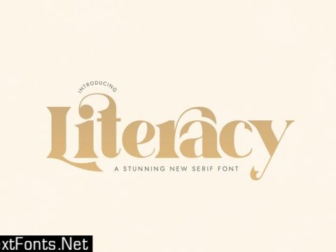 Literacy Serif Font