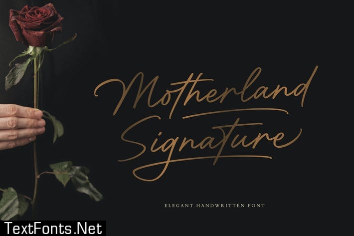 Motherland Signature