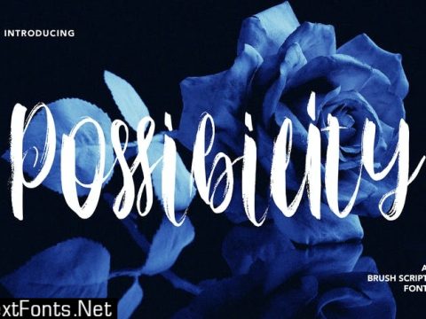 Possibility - Brush Script Font