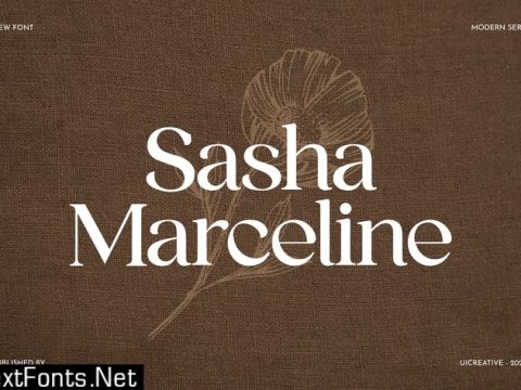 Sasha Marceline Serif Font