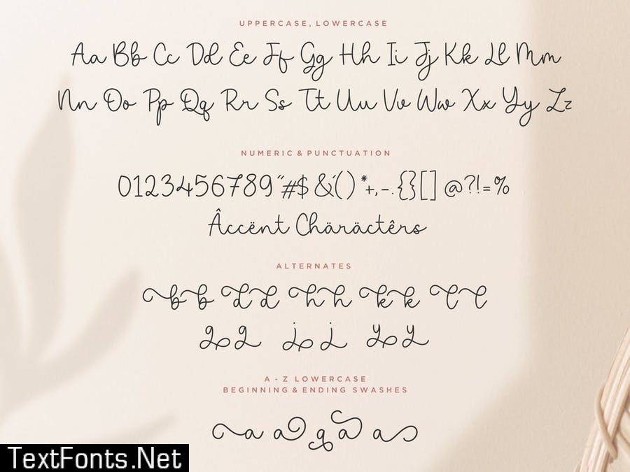 Saylora Script Font YH