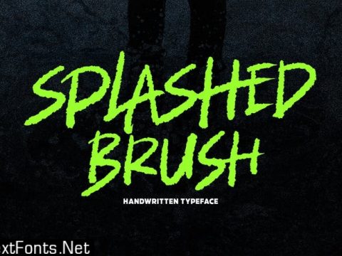 Splashed Brush Font