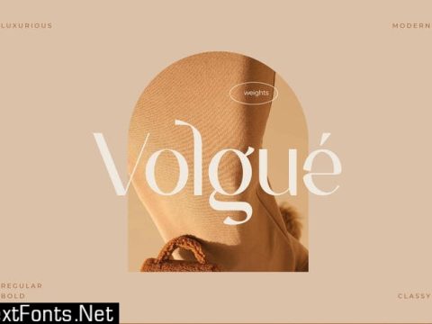 Volgue - Chic Modern Typeface