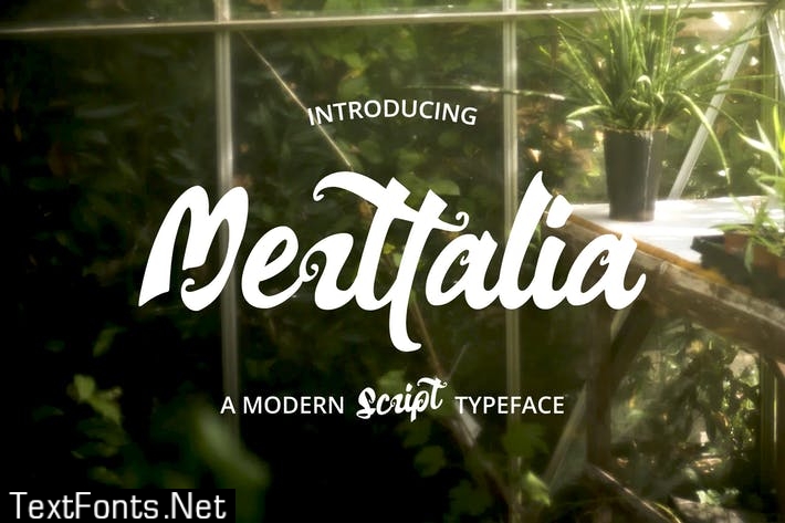 Merttalia Modern Script Font