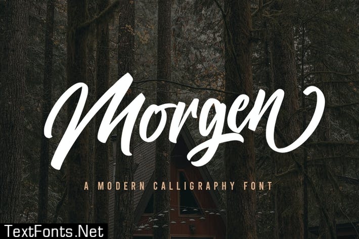 Morgen - Bold Brush Font