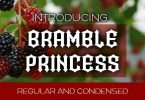 Bramble Princess Font