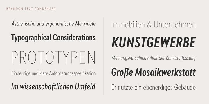 Brandon Text Condensed Font Family