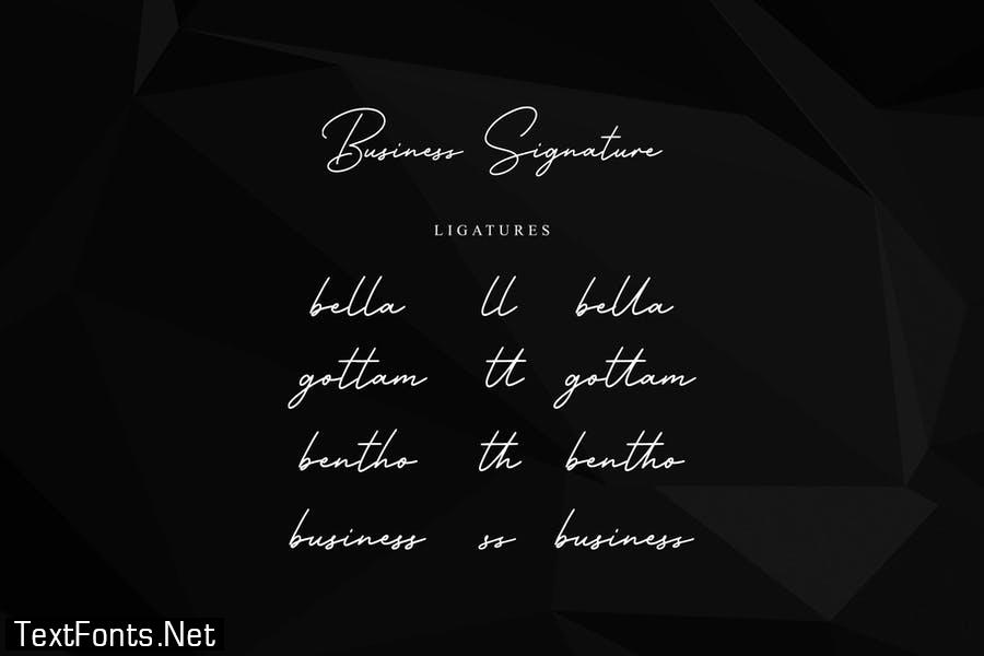 Business Signature - Elegant Corporate Font