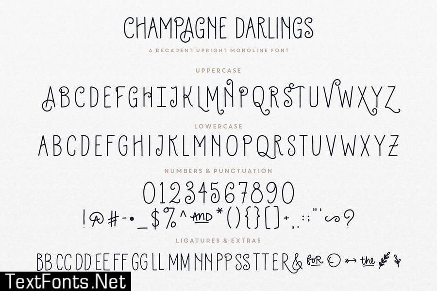 Champagne Darlings Typeface