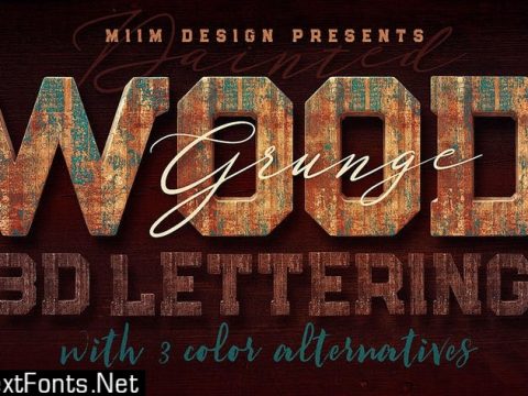 Grunge Painted Wood - 3D Lettering