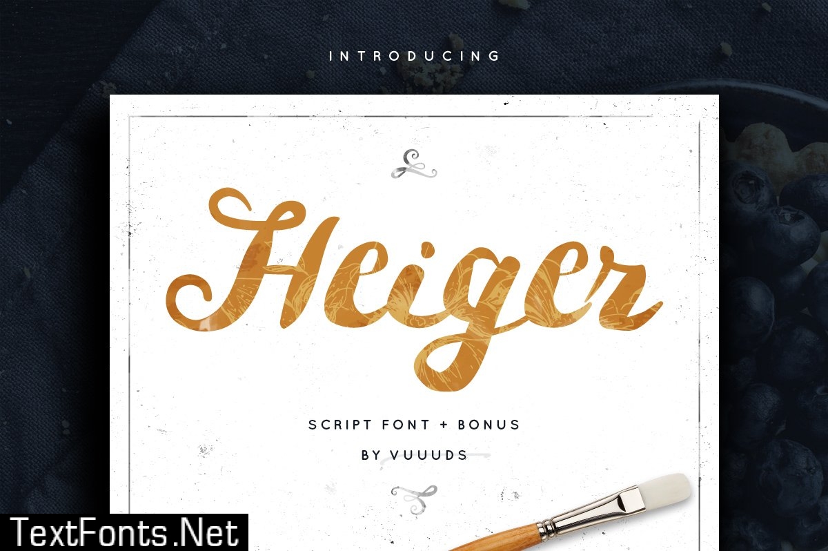 Heiger Script Font + Bonus Vector