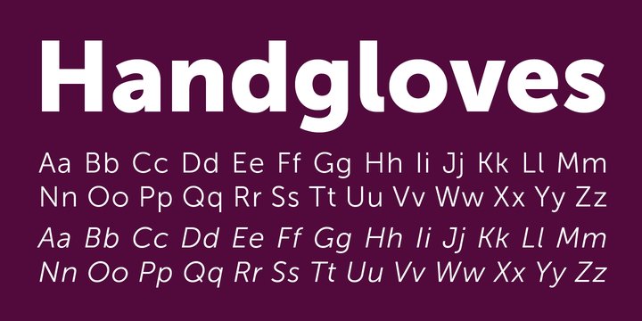 Museo Font Family