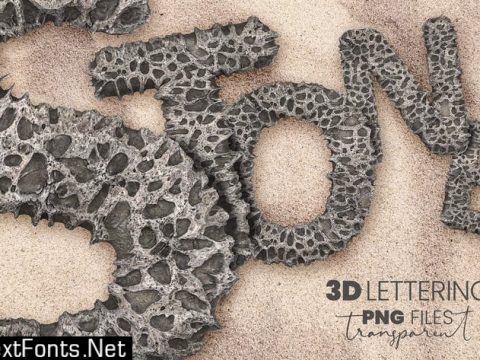 Porous Stone 3D Letters