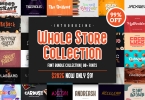 Whole Store Fonts Bundle Collection