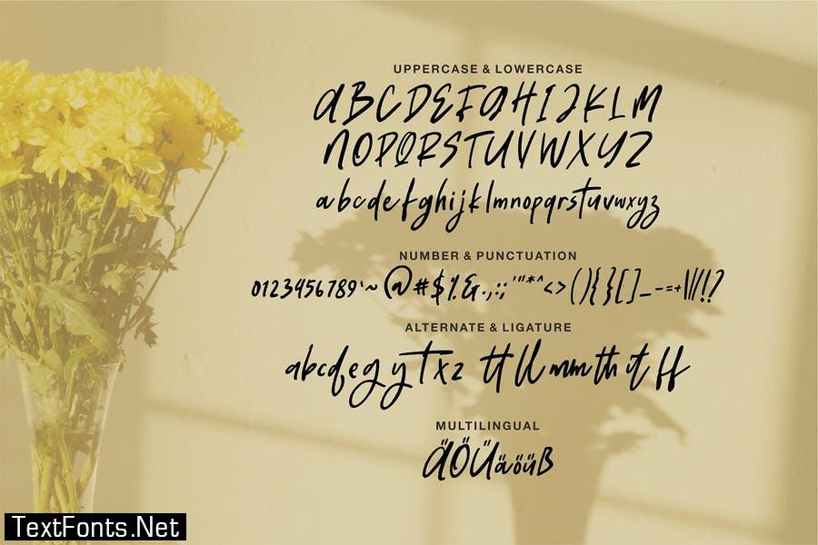 Britaniya | A Stylish Handwritten Font