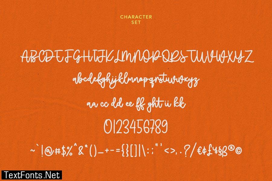 Cheesyfloat Monoline Script Font