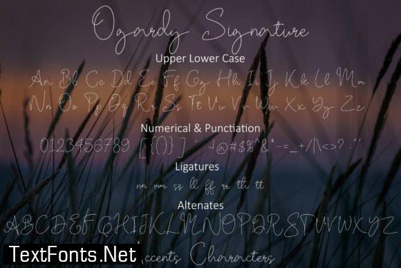 Ogardy Signature Font