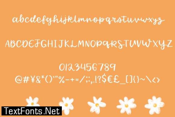 Spring Daisy Font