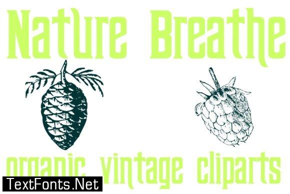 Title Nature Breathe Font