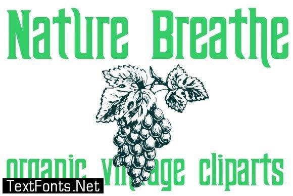 Title Nature Breathe Font