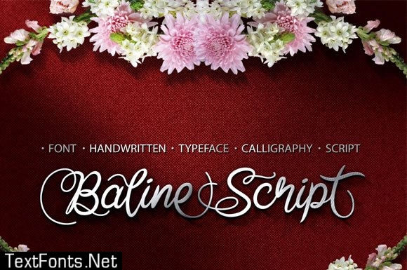 Baline Script Font