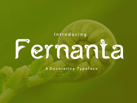 Fernanta Font