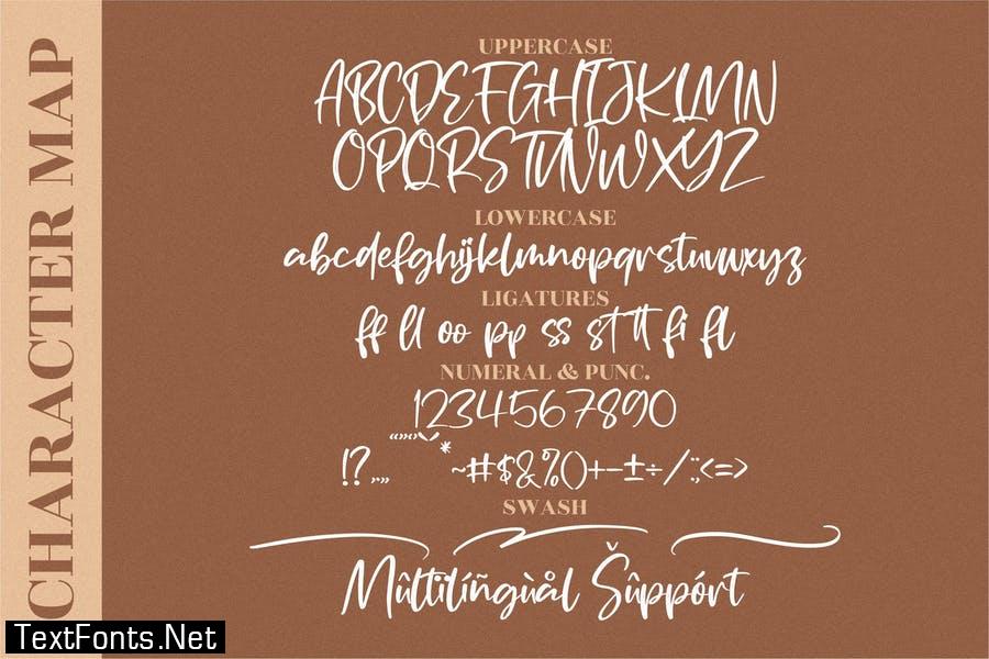 Portofolio Brilliant Script Font LS