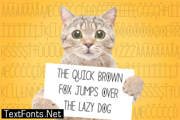 The Curious Cat Font