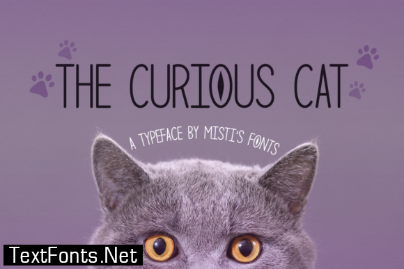 The Curious Cat Font