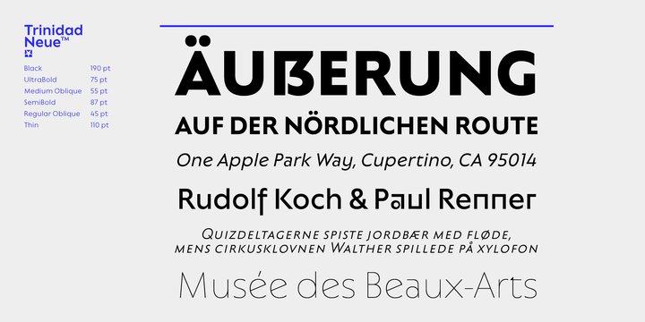 Trinidad Neue Font Family