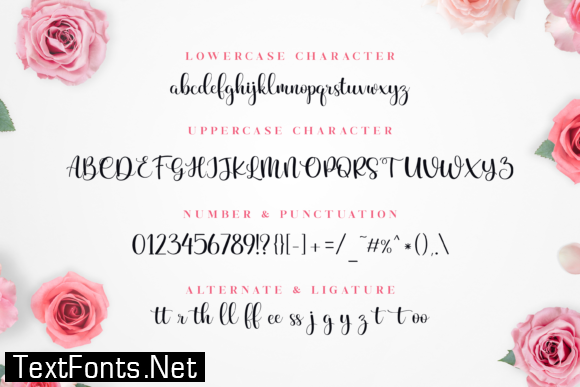 Beauty and Elegant Font