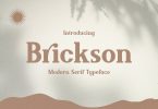 Brickson - Elegant Modern Serif
