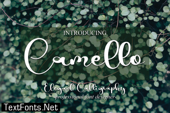 Camello Font