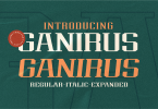 Ganirus Font