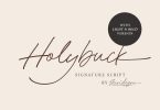 Holybuck - Signature Font Family