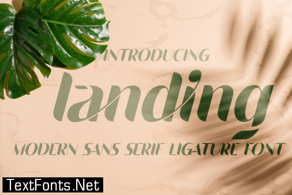 Landing Font