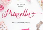 Princella Script Font