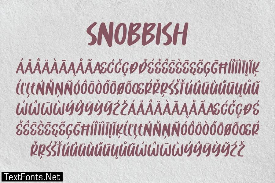 Snobbish - Organic Brush Font
