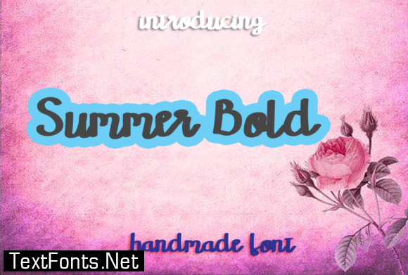 Summer Bold Font