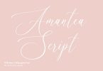 Amantea Script Font