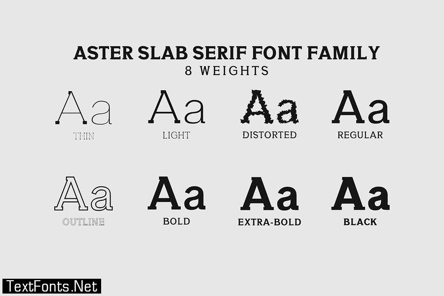 Aster Slab Serif Font Family