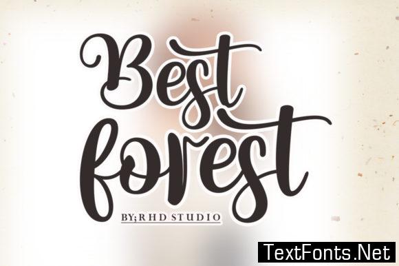 Best Forest Font