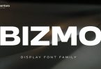 Bizmo Font Family