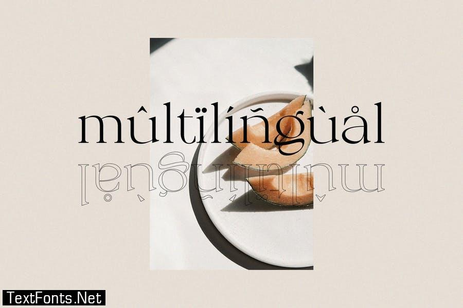 Calliga - Stylish Display Serif